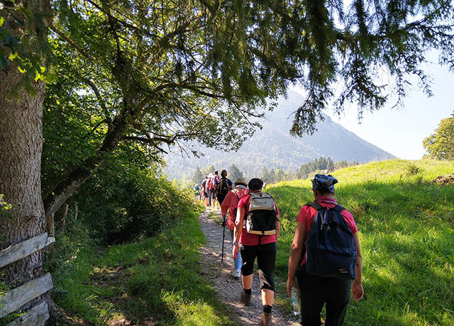 wandern im Ohlstädter Boschet